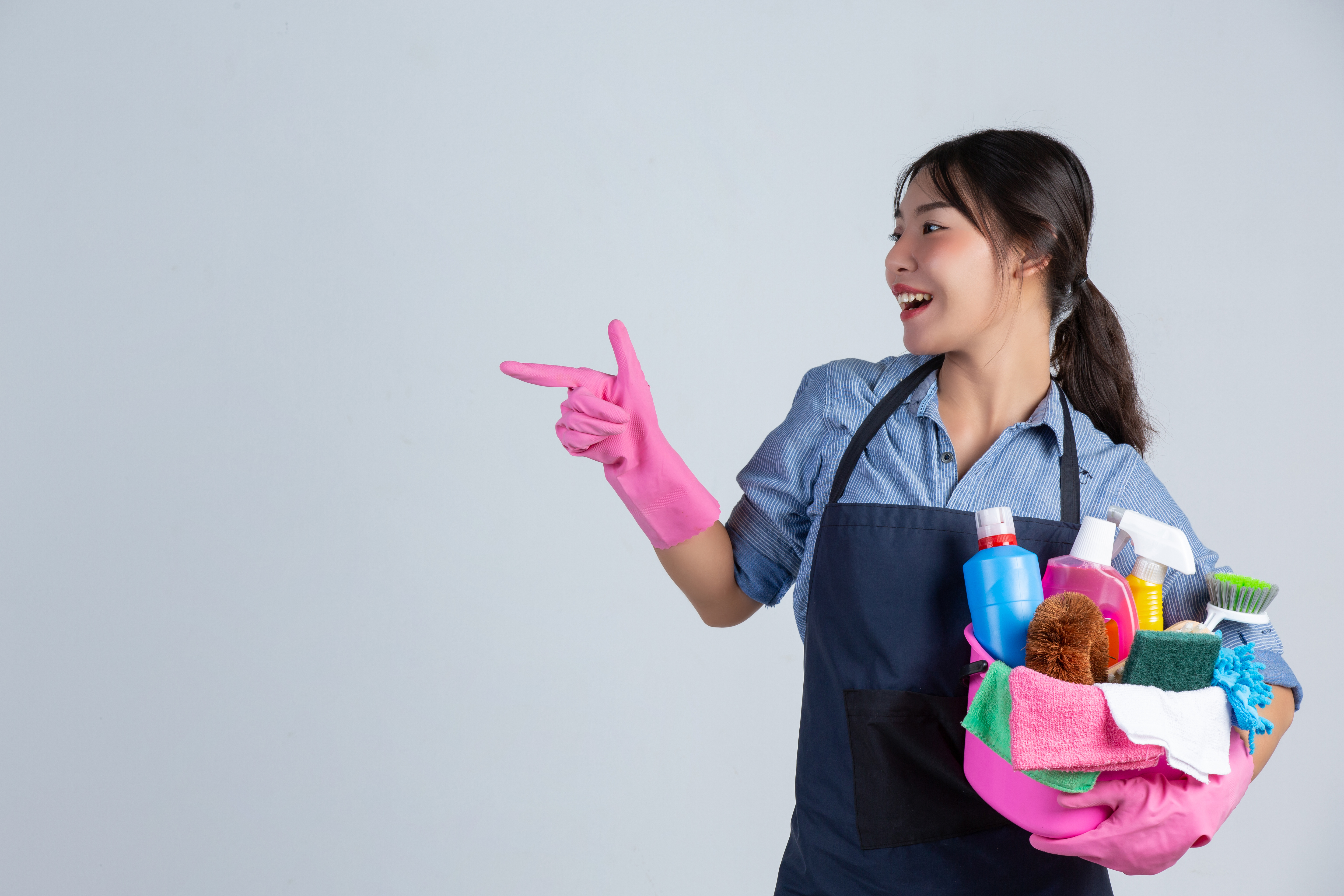 Maid service 2